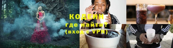 шишки Михайловск
