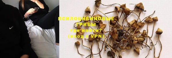 шишки Михайловск