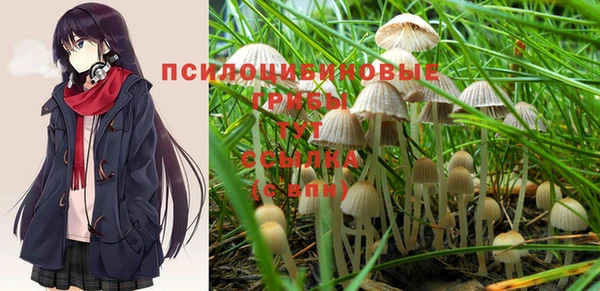 марихуана Медногорск