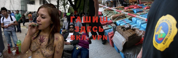 шишки Михайловск