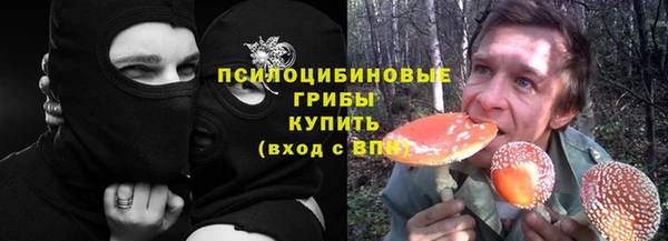 дурь Михайловка