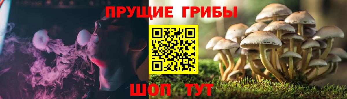 Псилоцибиновые грибы GOLDEN TEACHER Раменское